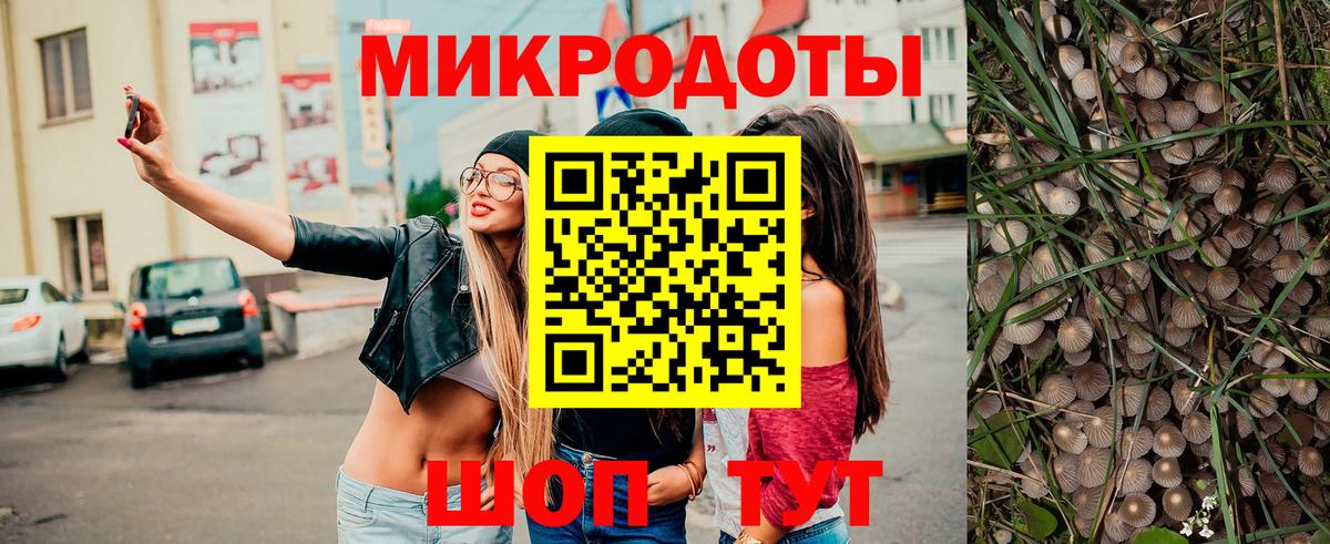 где найти   Псилоцибиновые грибы GOLDEN TEACHER  Вход с VPN  Щёлково  Псилоцибиновые грибы Psilocybine cubensis 