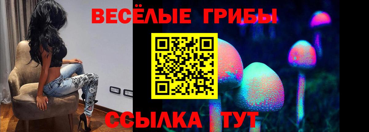 Галлюциногенные грибы GOLDEN TEACHER Щёлково